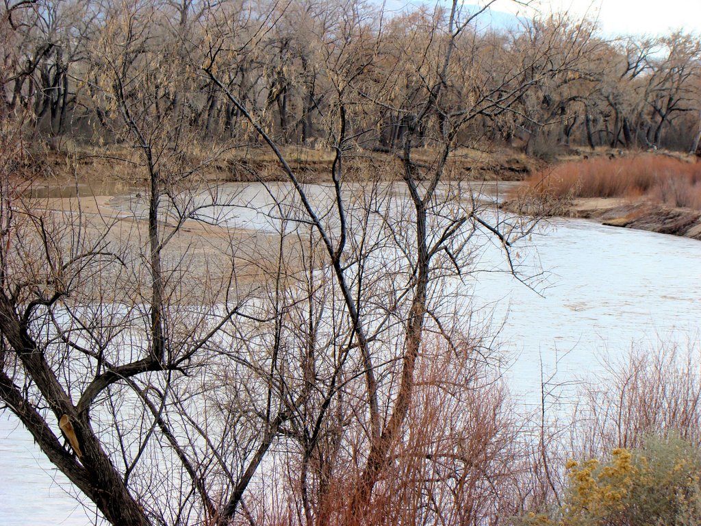 Coronado State Monument - Looking at the Rio Grande River by D. Jenison