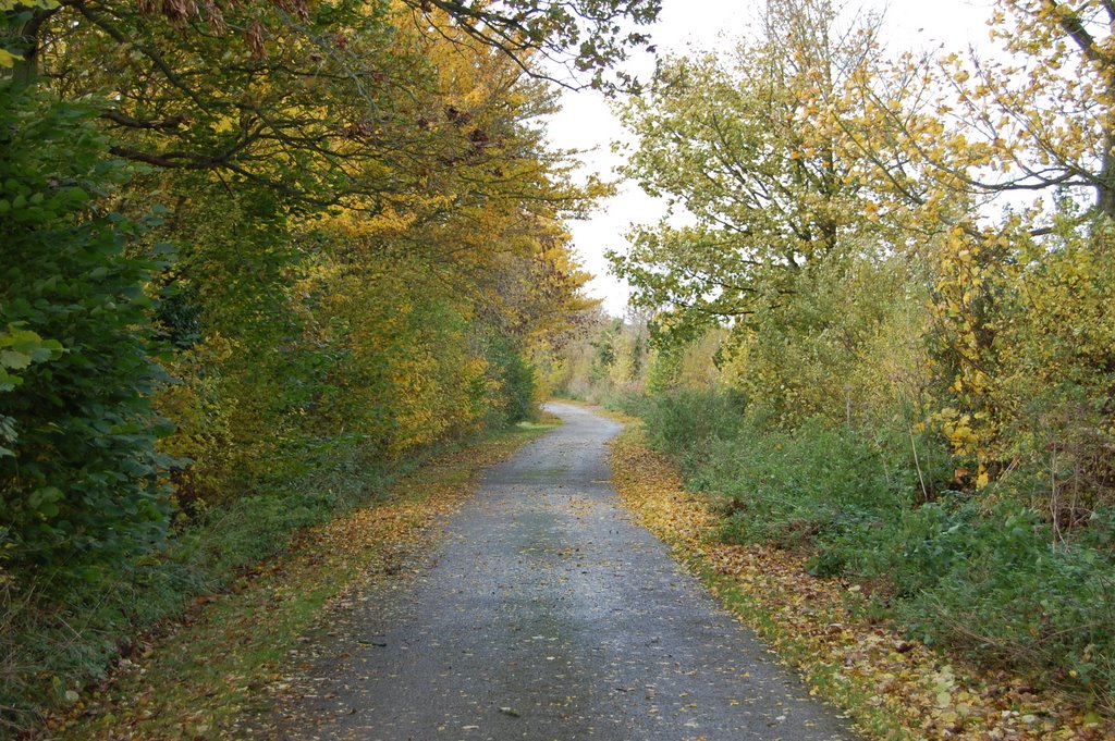 Hook Norton Lane by NoelBell