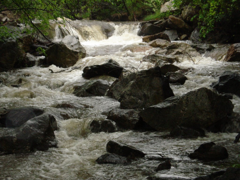 Jackson Falls by Douglas Sharp