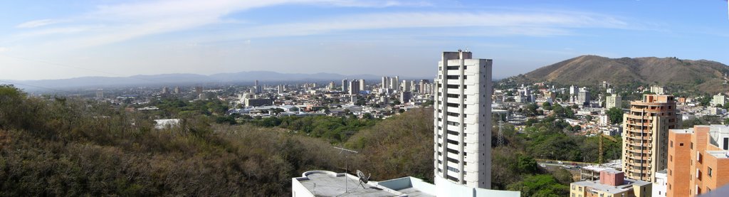 Vista sur de Valencia, 2 by Livio Cescutti