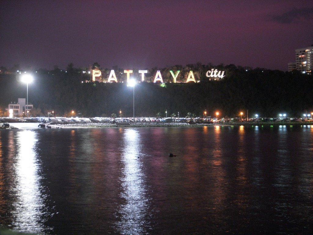 帕提亚夜景 Pattaya by Wetterhahn