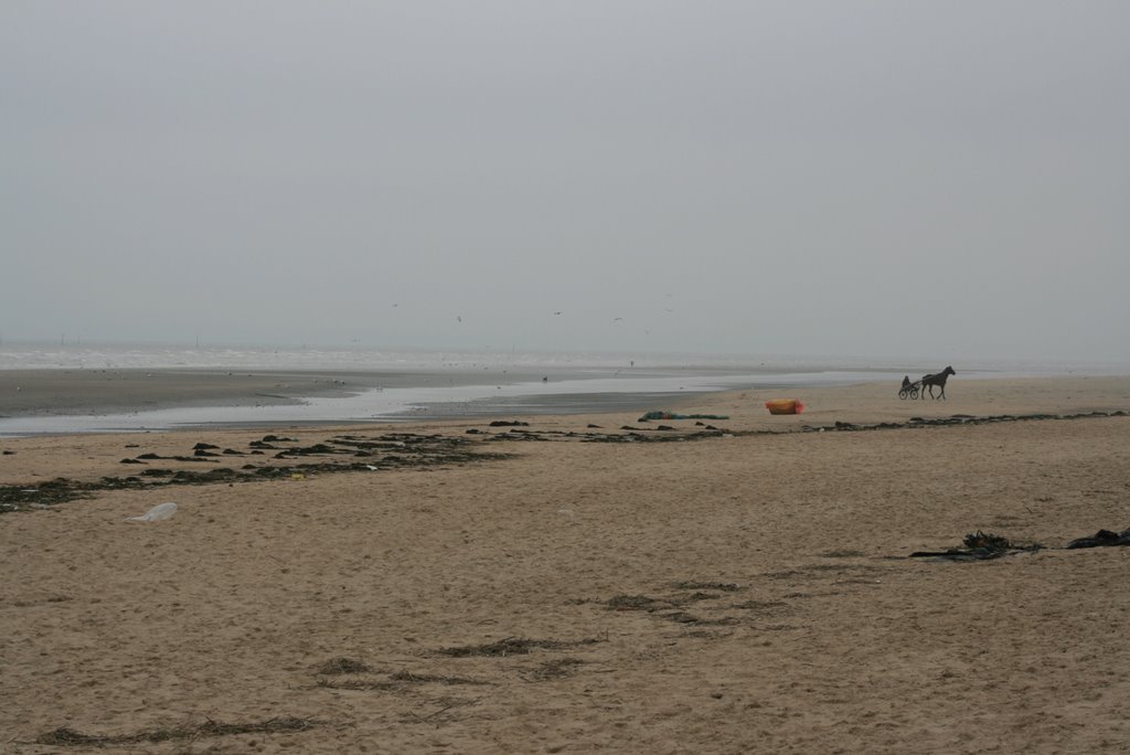 Utah Beach, la plage by Jean-Pierre Patrias