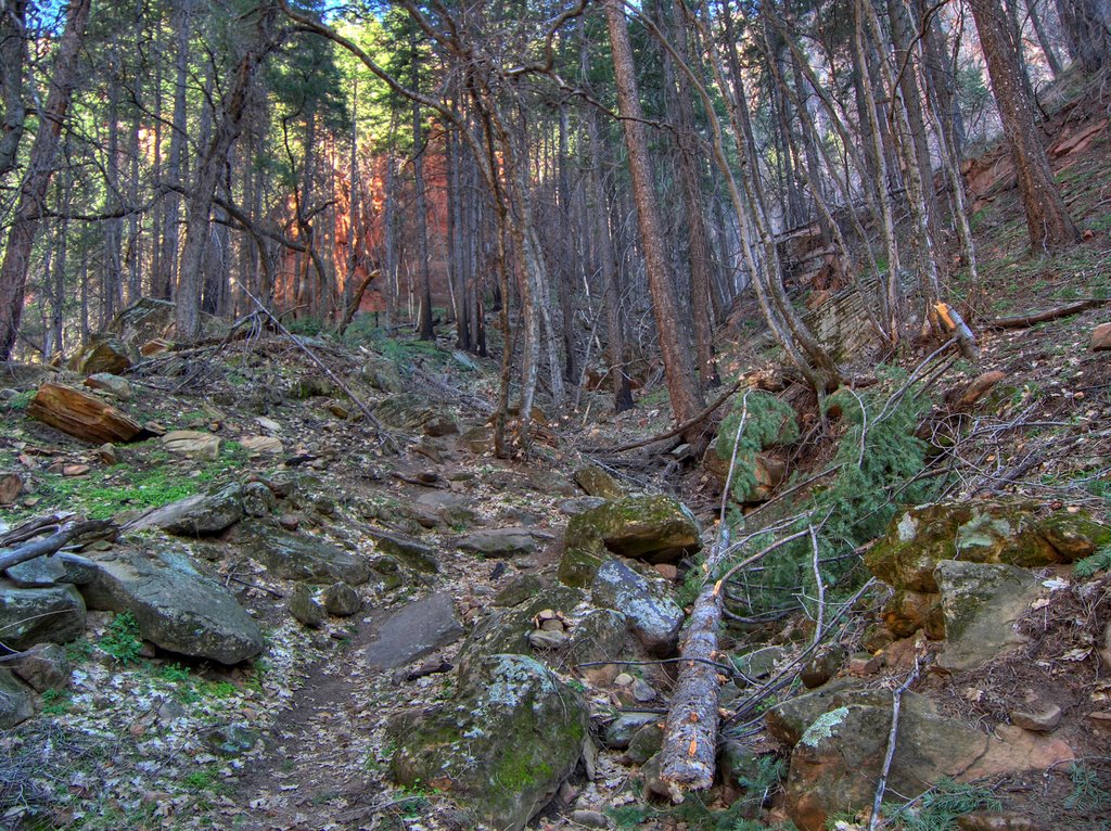 Sterling Pass Trail (HDR) by Deborah Lee Soltesz