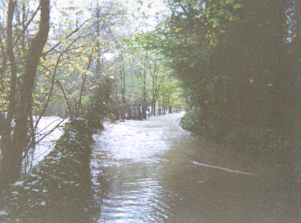 Oakamoor In Flood by Stevan Thorley