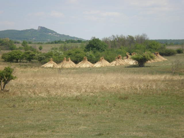 Szalmabogják és Hegyestű by Boross Bálint