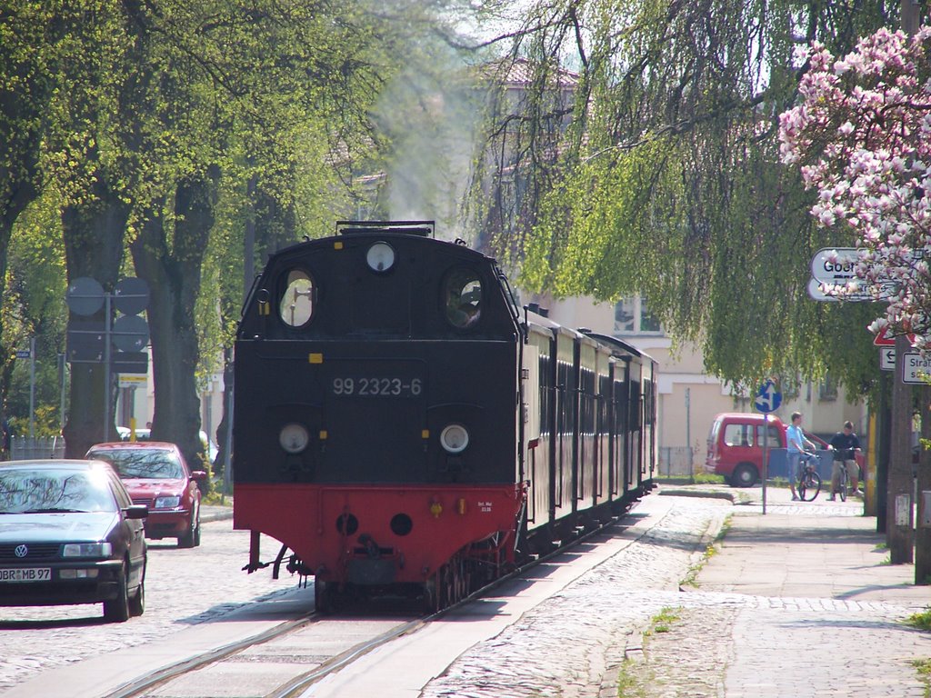 Goethestrasse am Frühling by zsns