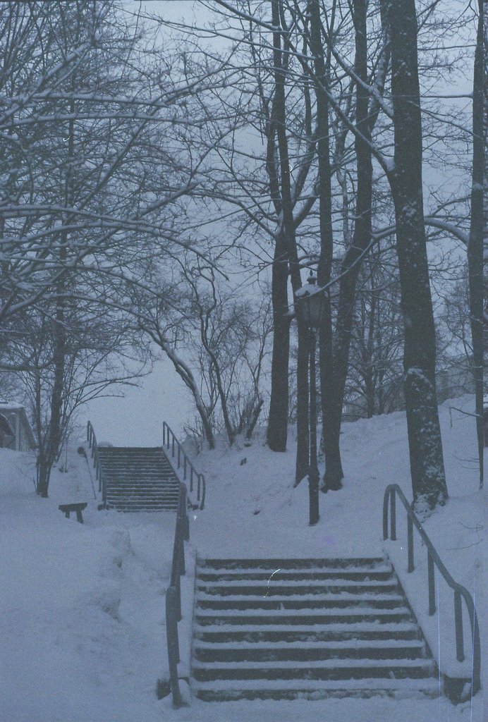 Stairs by Ott Maidre