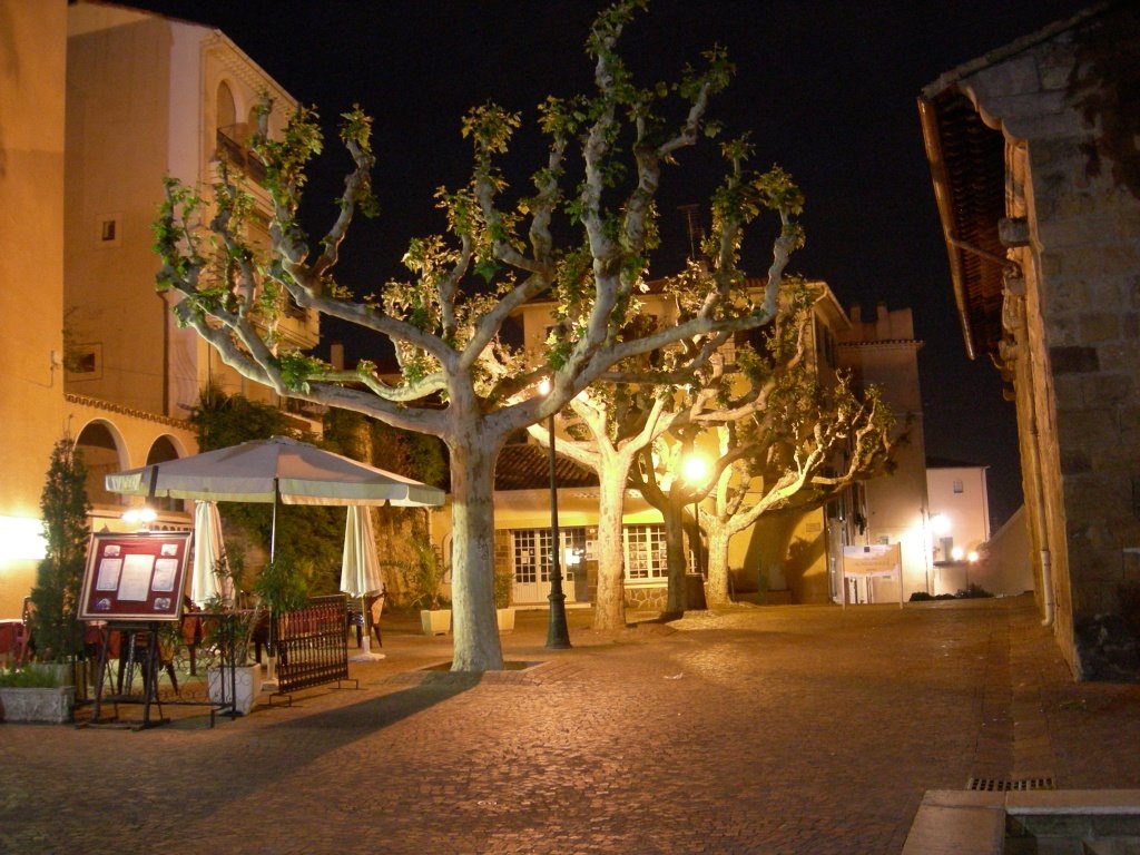 Fréjus la nuit by Marino Gandolfo