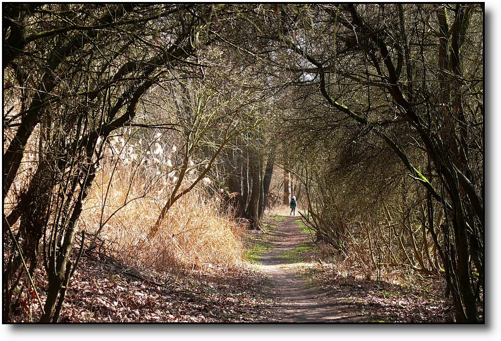 Natural tunnel by klaus040-panoramio stays!