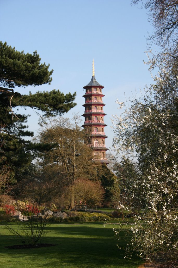 Pagoda Kew Gardens Spring by Dennis Shevelan