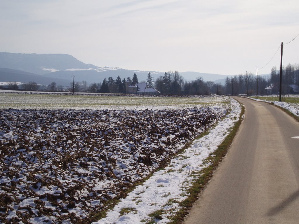 Route du manoir by dugourd