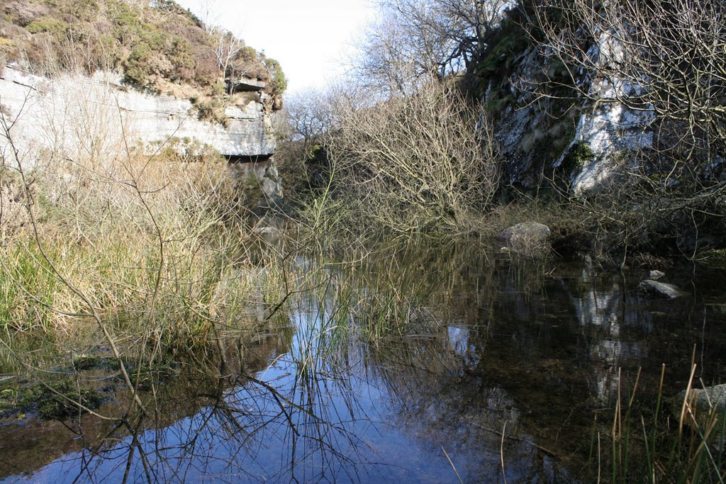 Haytor quarry (disused) by Phil E