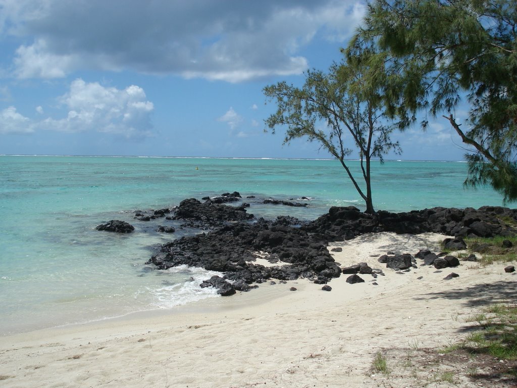 Ile aux cerfs by Frédéric Fruchard