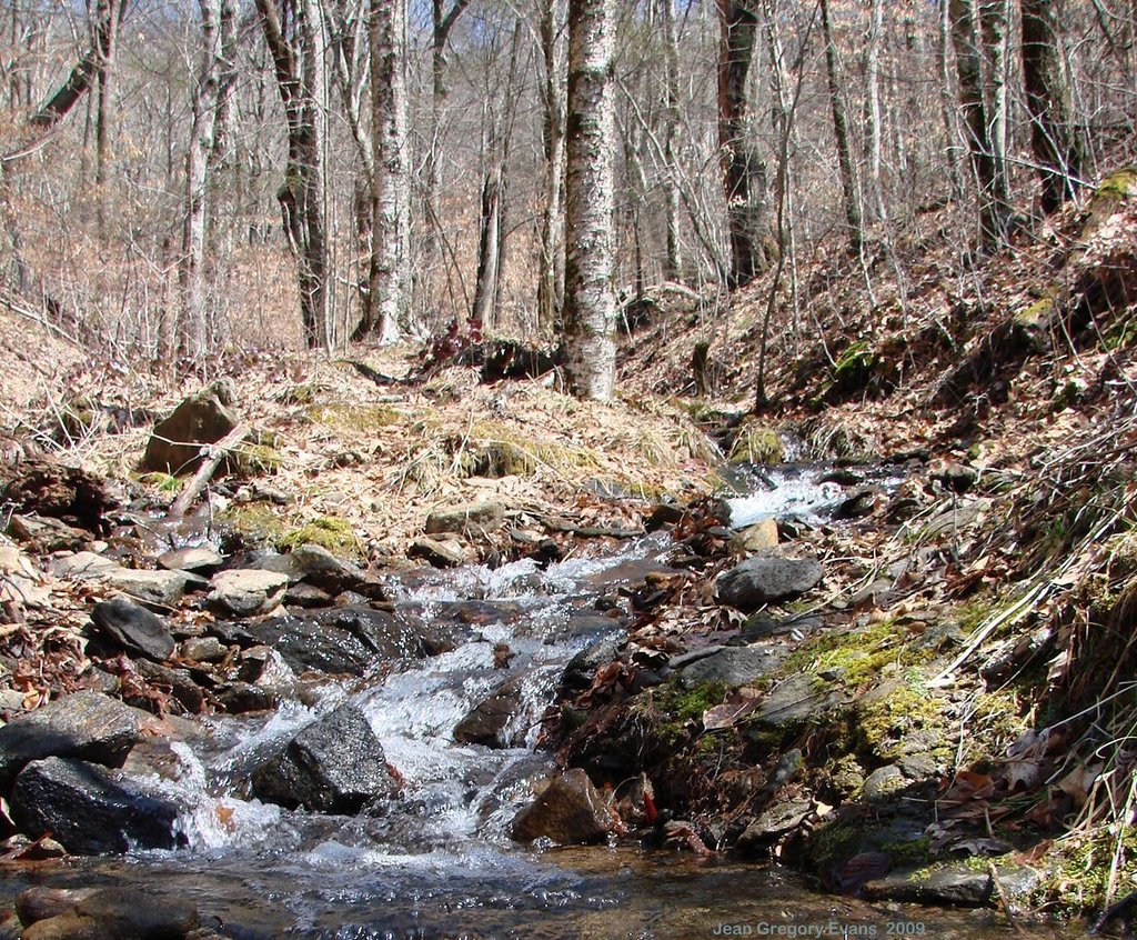 Two small streams join here by jeangregoryevans