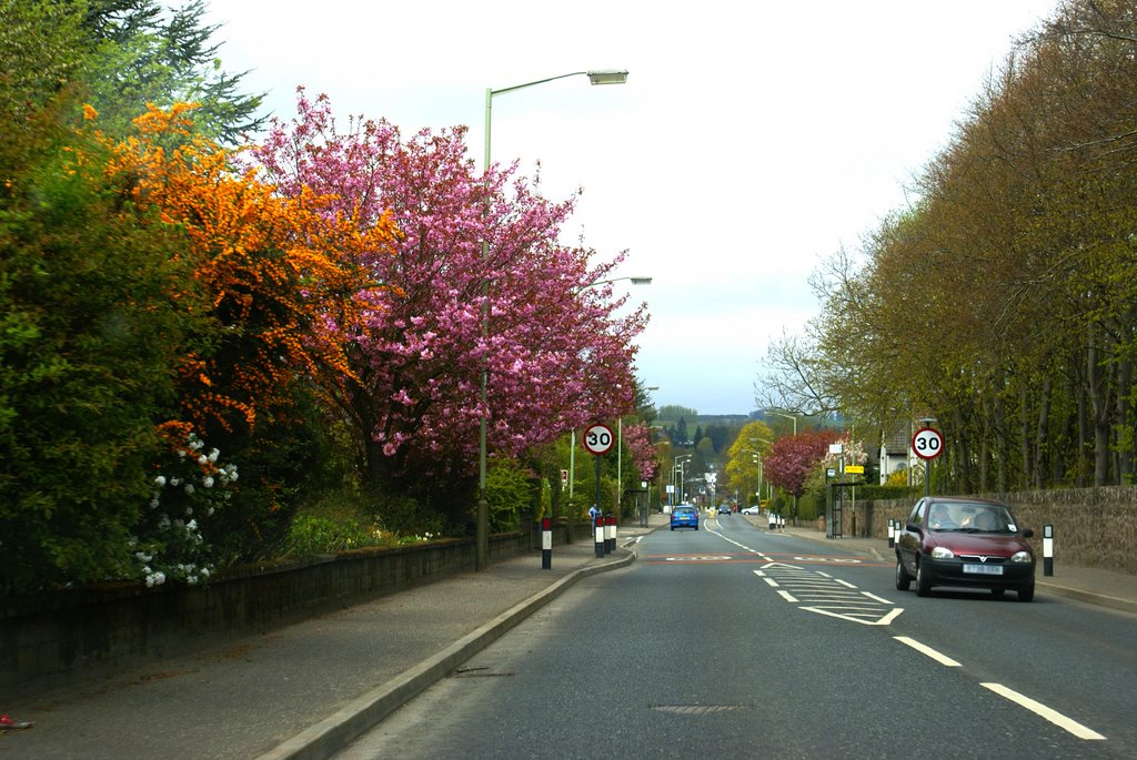 Coupar Angus Road by Scott Darlow