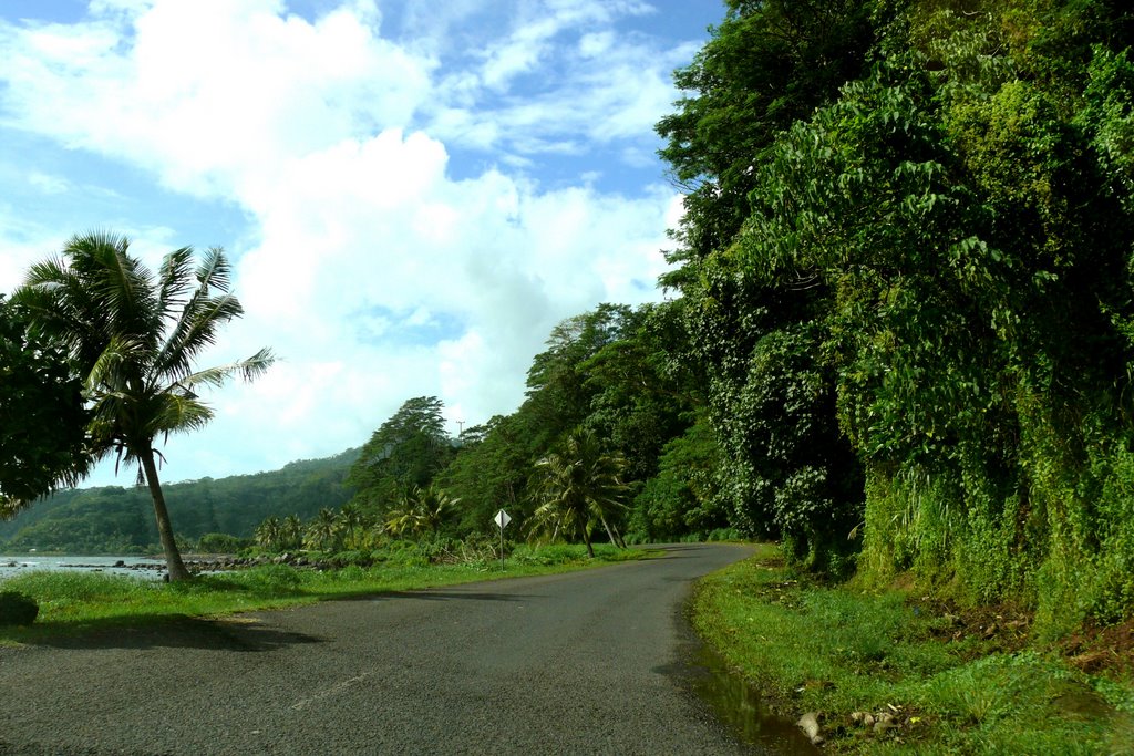 Road to lalomanu by gurung