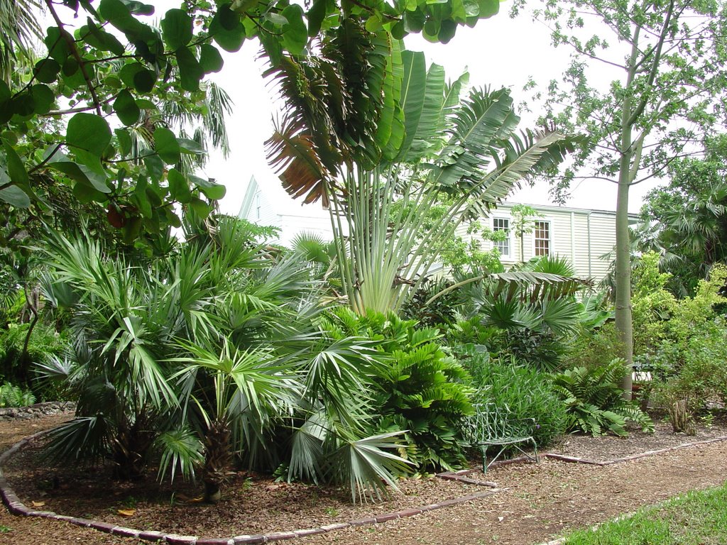 Back Yard at Ernest Hemingway's Home at Key West by Harold Johnson