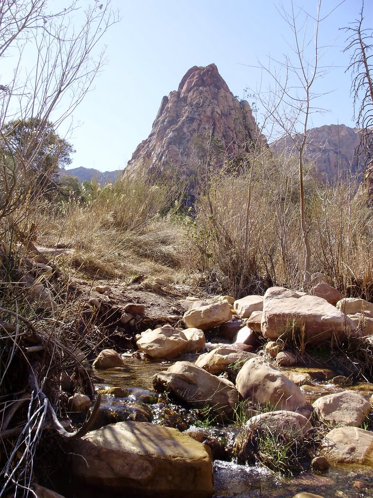 Pine Creek Canyon, Red Rock Canyon National Conservation Area, NV by Cassygirl