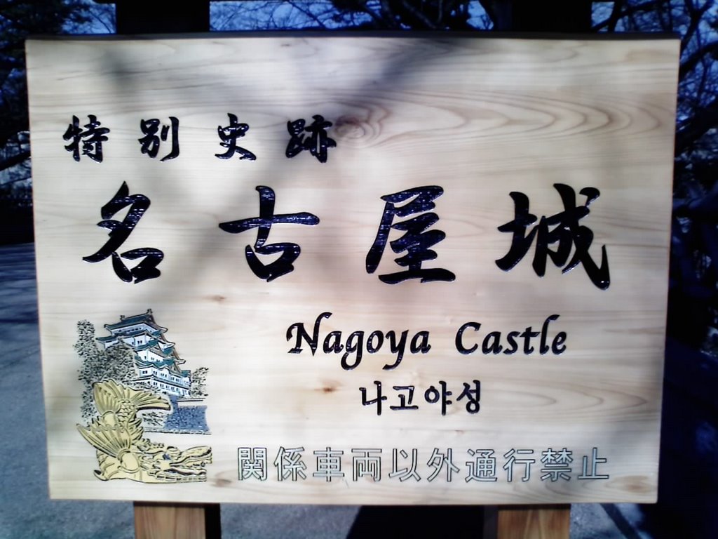 Nagoya Castle - 名古屋城 by furyou