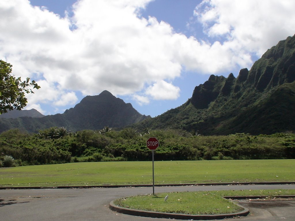 Oahu's pristine North Shore Mountains by krlovett