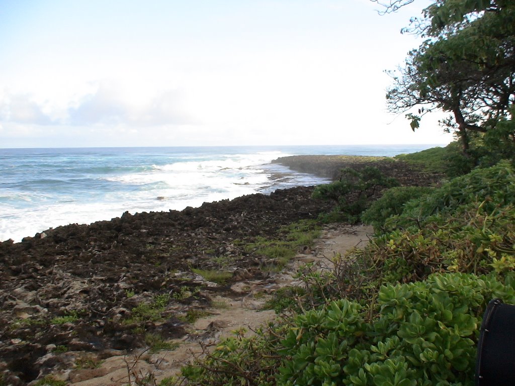 Ancient Lava Beach Oahu Hawaii by krlovett