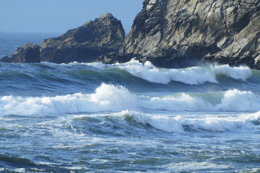 Gray Whale Cove by John Cordova