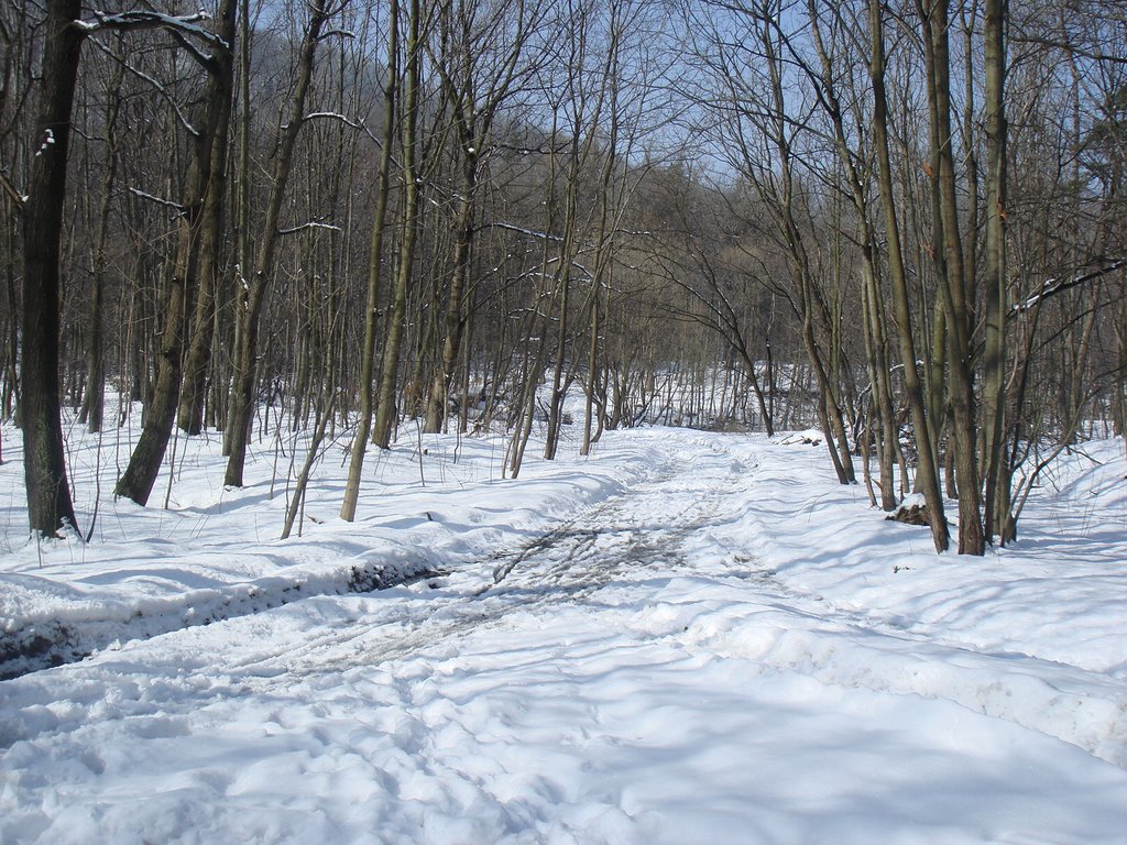 Park Zimą 1 by Marek.Mzr