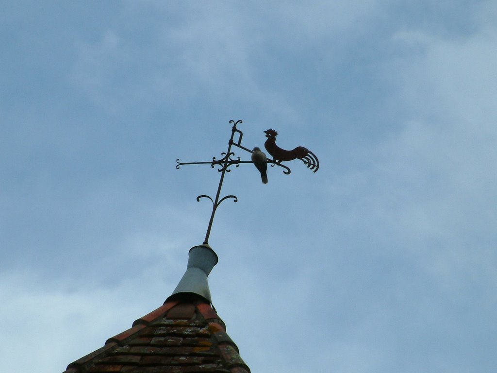 Girouette de l'église de Saint-Gein by jippo