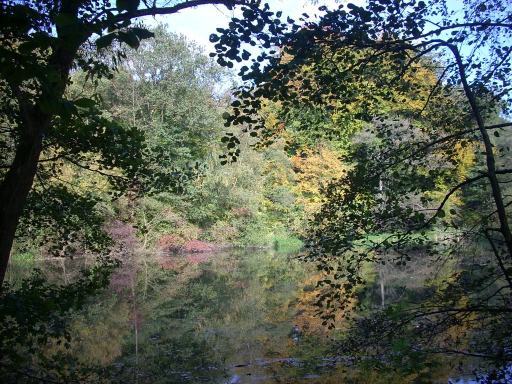 Botanischer Garten der Ruhr-Universität Bochum 2008 by DortmundWestfalica