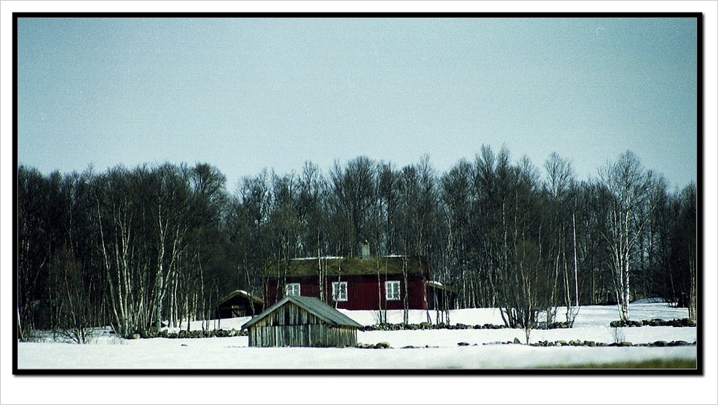 Røros by Small path