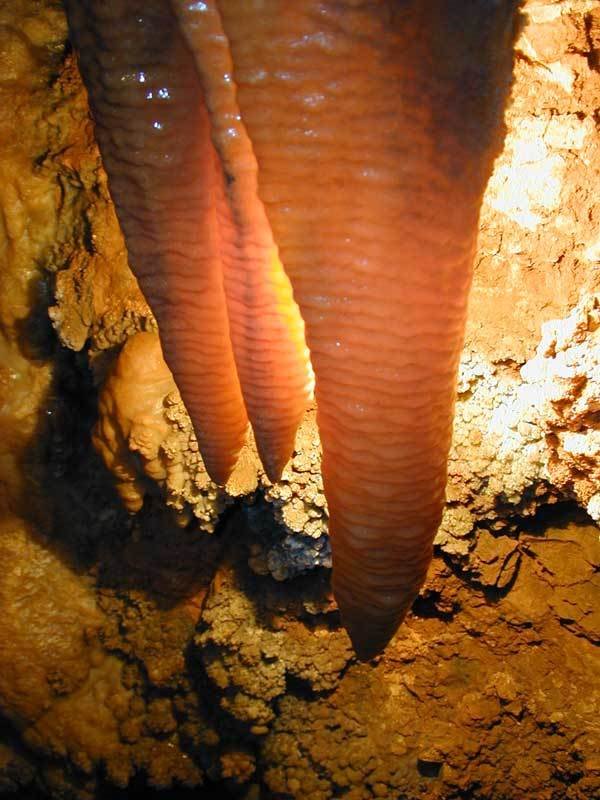 Stalactites by Christophe C.