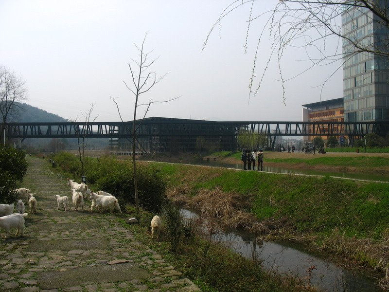 Xihu, Hangzhou, Zhejiang, China by kaomu