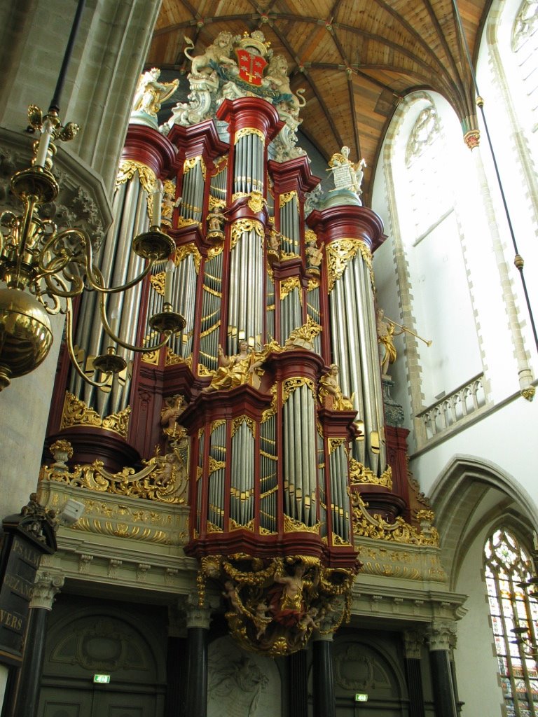 Grote Kerk Sint Bavo Organ by flower753