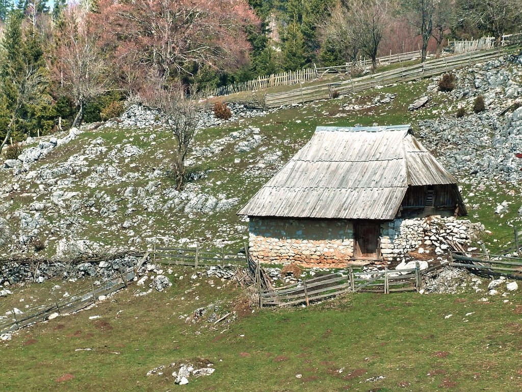 TARA-SEKULIĆI-SRBIJA by Rajko Krčmar