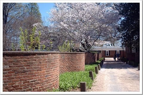 Garden Walls by Heliodor Jalba