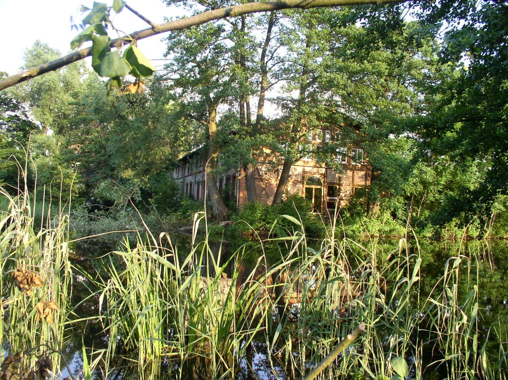 Gästehaus am Schloss Neuhausen - Blick vom Schlossteich by yabipl