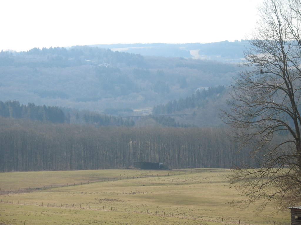 Das Nistertal-Im Wald versteckt die Nistertalbrücke by Peter Babiel