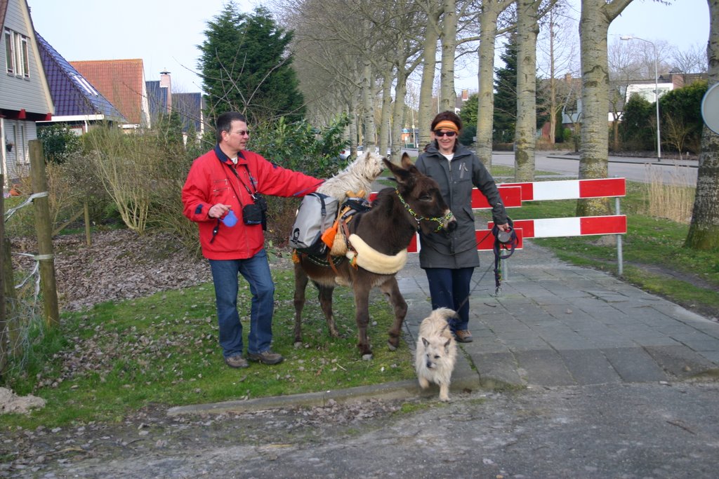 Even de honden en de ezel uitlaten by Tjeert.Mensinga ©