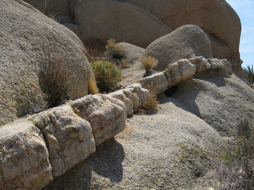 Near Jumbo Rocks Campground by Chris Sanfino