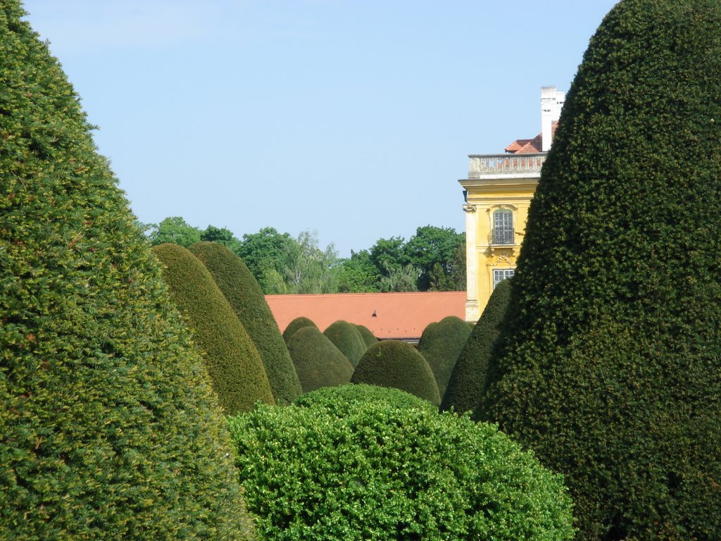 Castle Garden, Fertod by nora rozsnyai