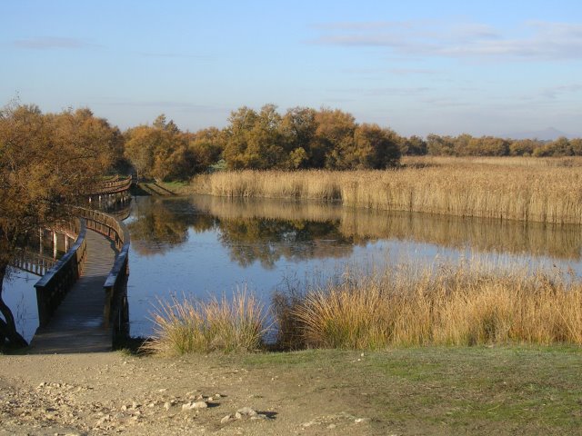 TABLAS DE DAIMIEL MANCHEGAS by FRANDORO