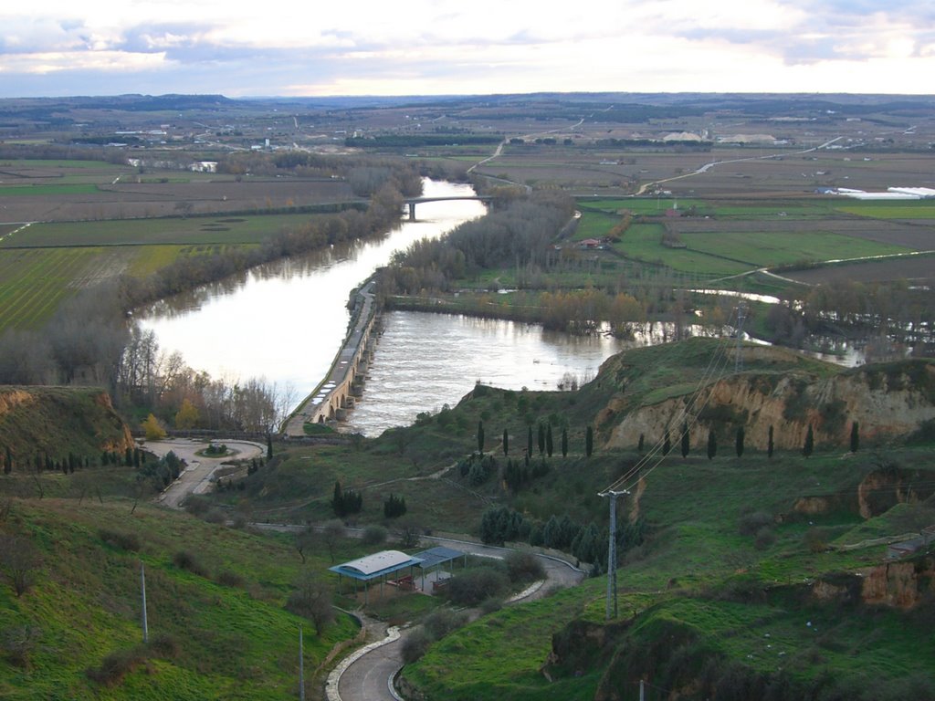 Toro mira al rio by Carlos GL