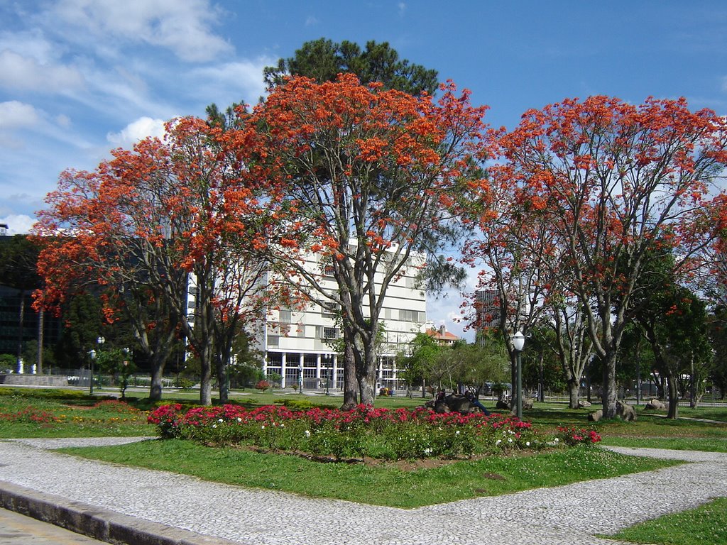 Centro Cívico by Luiz Bocian