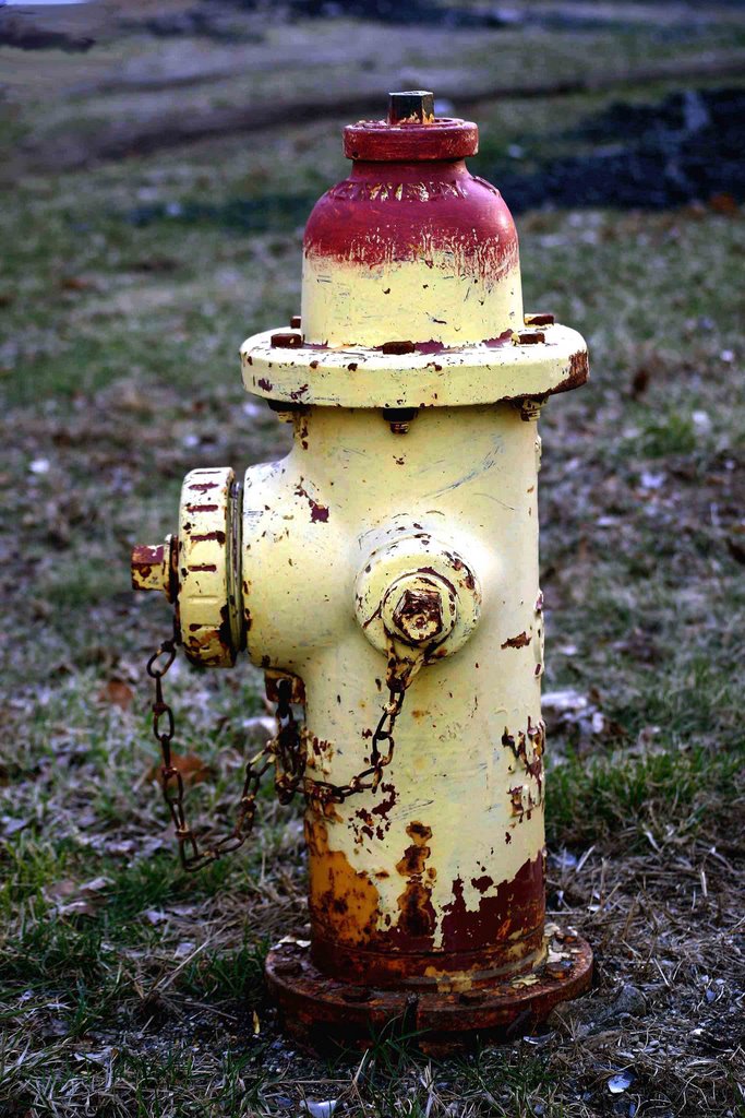 Fire Hydrant by Borbála Hajek