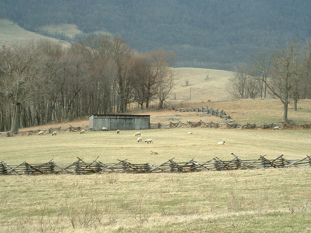 Split rail fence by chipnangie