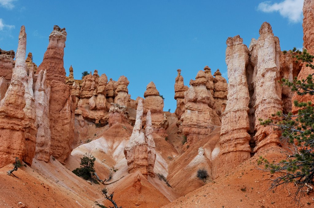 Bryce Canyon End of the Trail Queens Garden 谷底 by wendayys