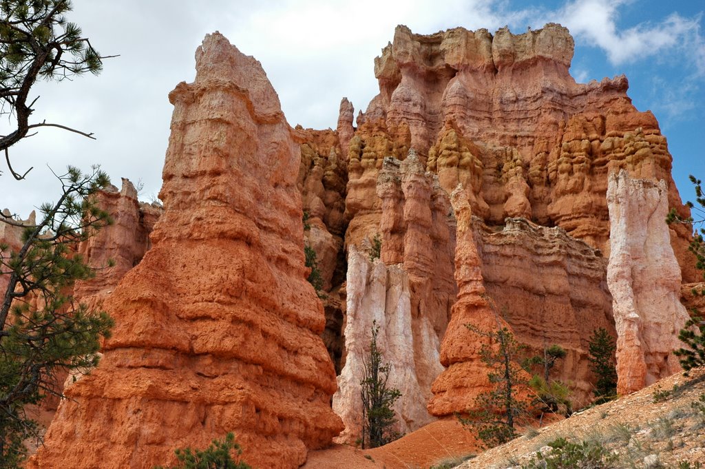 Bryce Canyon 谷底 by wendayys