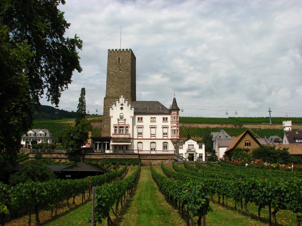 Rüdesheim am Rhein by iñako82