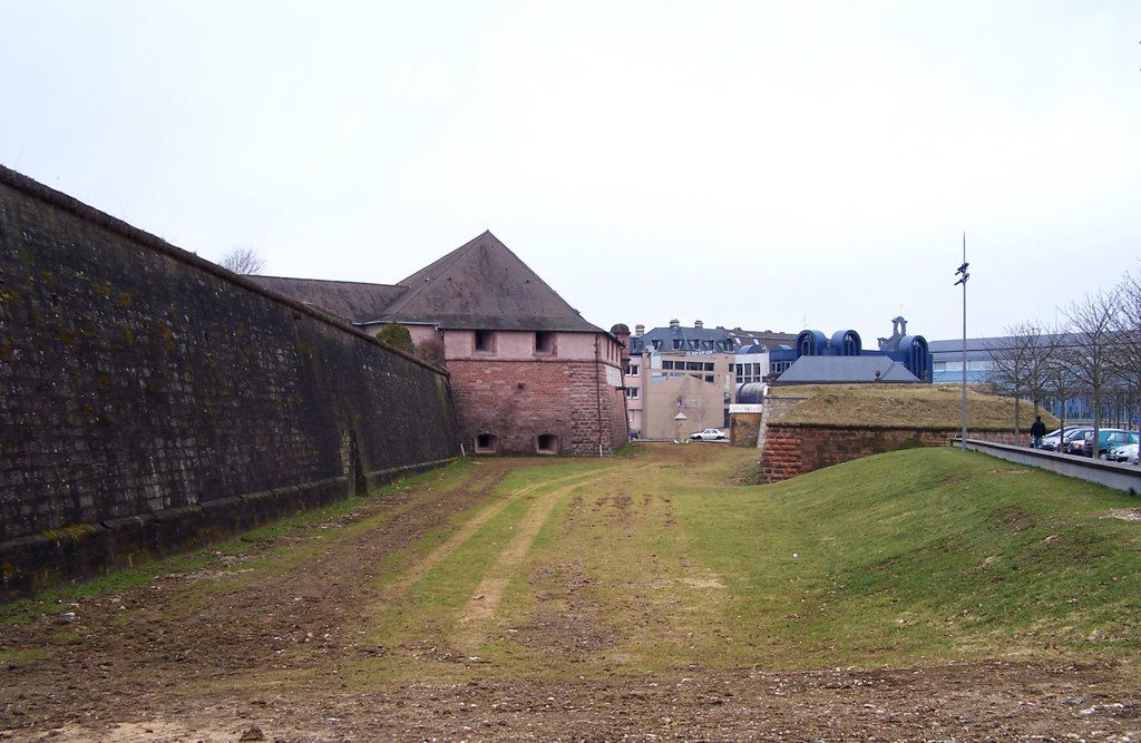 Belfort : vue sur la tour 41 by uvw3