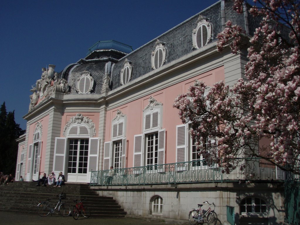 Schloss Benrath (Benrath Castle), Dusseldorf, Germany by Sonya Brunt